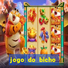 jogo do bicho documentario globoplay